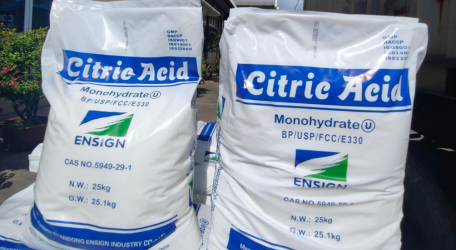 Acic citric mono