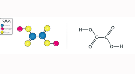 Axit Oxalic 99.6% C2H2O4.2H2O - Anvi Chem